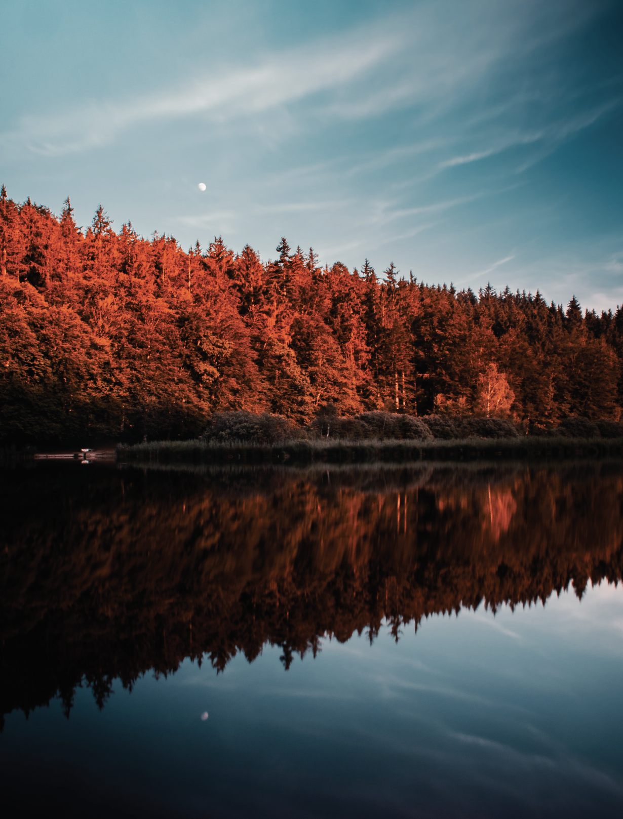 Read More: Fall 2022