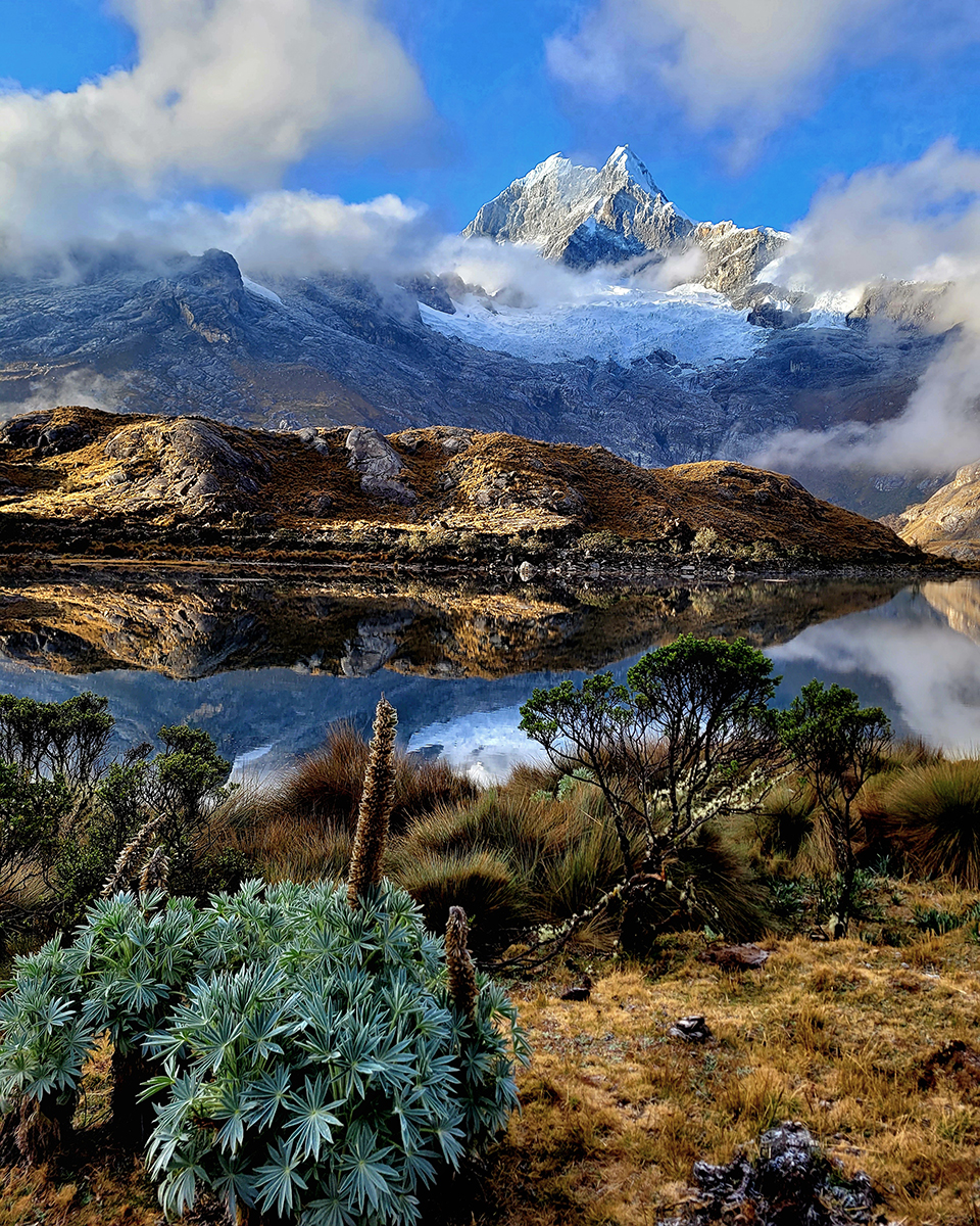 Danny and Janie’s Path to Adventure & Security in Vancouver, BC