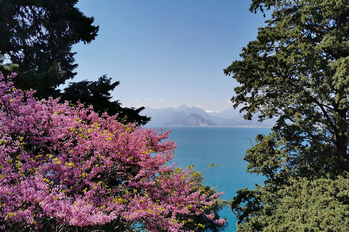 Q2 2025: Chartbook Market Comment + Video Interview