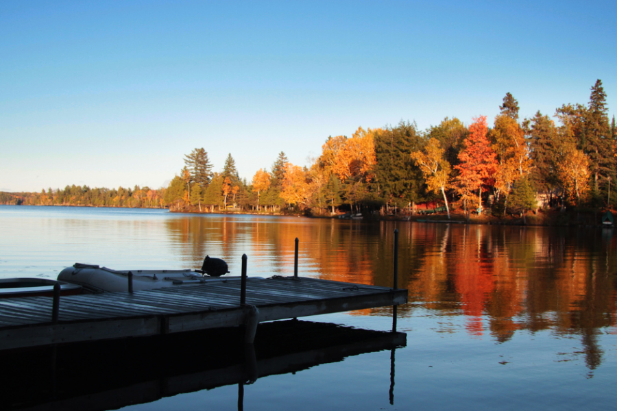 Read More: Fall 2025