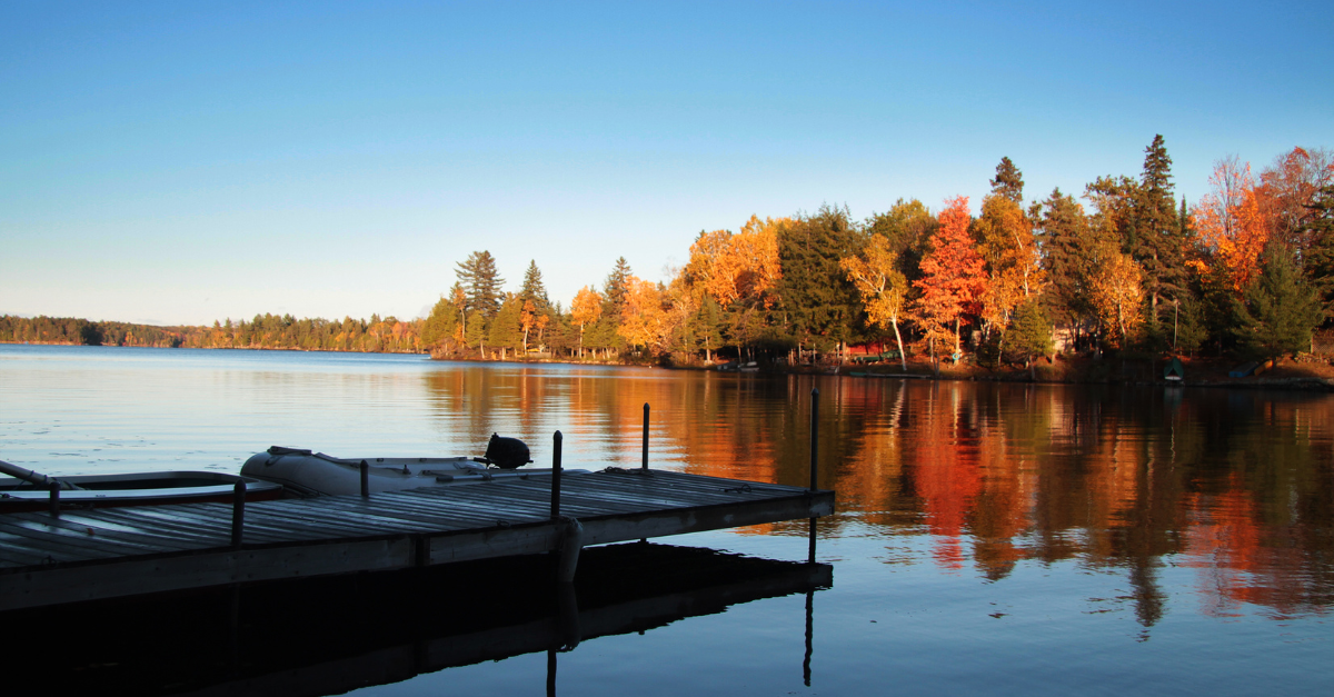 Read More: Fall 2025